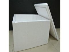 佛山厂家手抓饼泡沫箱定制与水果蔬菜泡沫盒 一站式保鲜解决方案